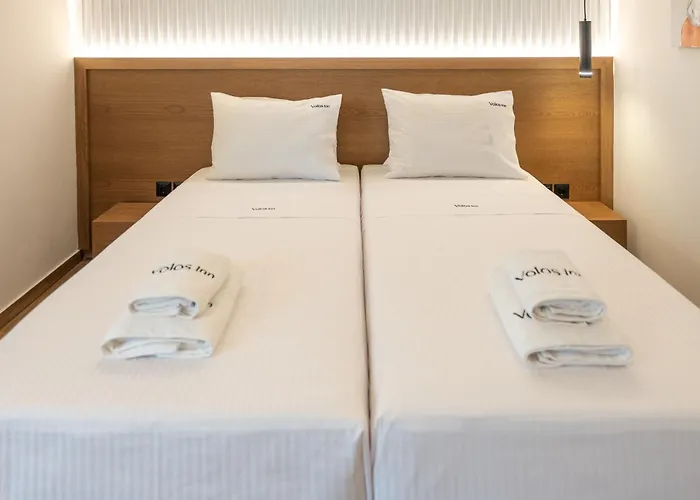 Volos Inn Hotel 酒店 3*
