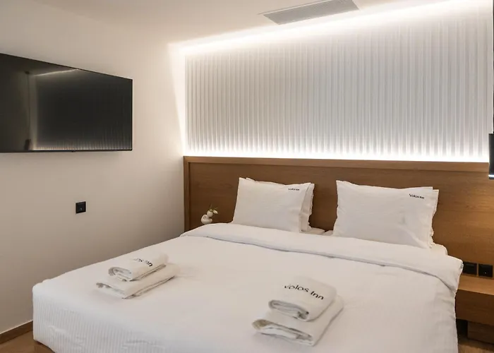 酒店 Volos Inn Hotel