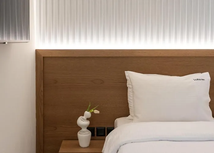 Volos Inn Hotel 3* 沃洛斯