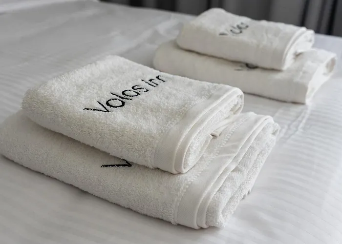 Volos Inn Hotel 酒店 3*