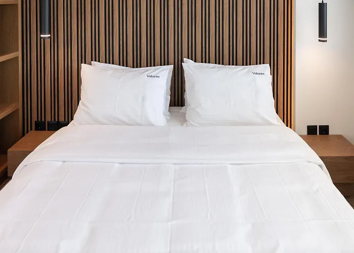 Volos Inn Hotel 酒店 3*