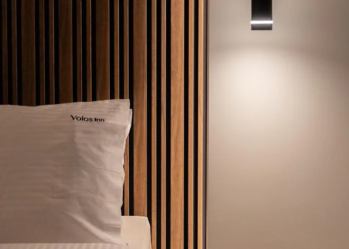 酒店 Volos Inn Hotel 沃洛斯