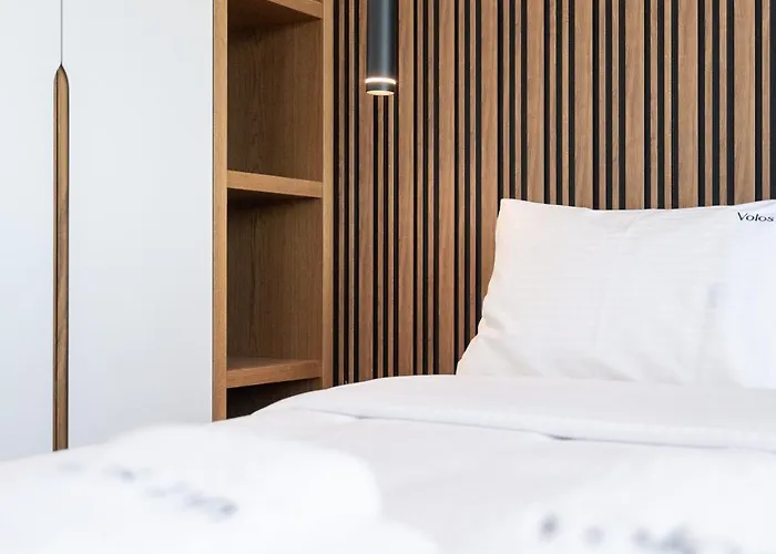 酒店 Volos Inn Hotel 3*