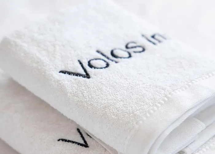 Volos Inn Hotel 沃洛斯