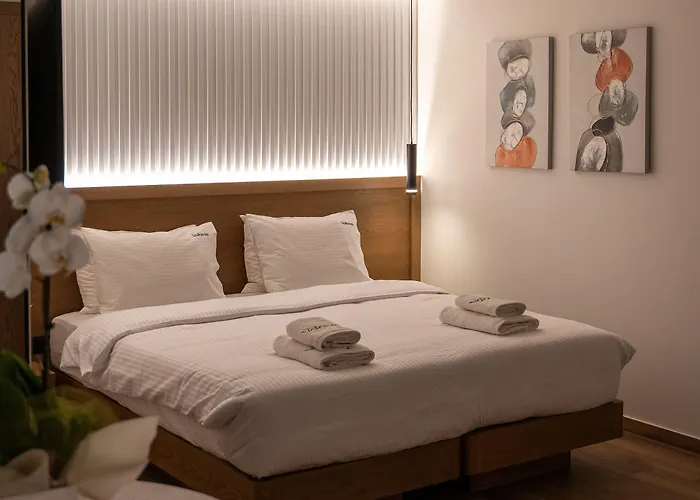 酒店 Volos Inn Hotel 3*