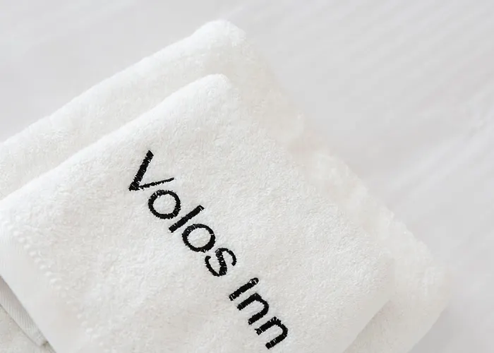 Volos Inn Hotel 沃洛斯