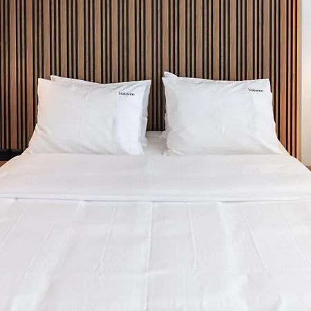 Volos Inn Hotel Hotel 3*